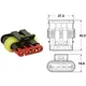 Stecker Set für Kabelbaum BGM PRO Typ Serie 060 AM SpecialSe_1
