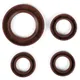 Oil seal set engine -BGM PRO, FKM/Viton® (E10/etahnol resist_1