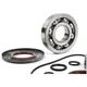 Bearing and oil seal set for crankshaft -BGM ORIGINAL- Vespa_1