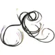 Kabelbaum BGM Original Vespa Sprint150 (Deutsch) mit Batteri_1