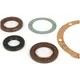 Bearing and oil seal set for crankshaft -BGM ORIGINAL FKM- L_2
