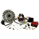 Ignition -BGM PRO HP V4.0 DC- Lambretta LI, SX, TV - CDI bgm_1