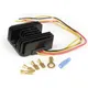 Spannungsregler BGM PRO 12V DC Wassell/PODtronic universal 5_1