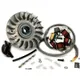 Ignition -BGM PRO HP V4.0 AC- Lambretta GP, DL - CDI bgm Pro_3