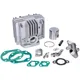 Cylinder kit DMP 70cc 45mm incl. intake manifold for Sachs 5_1