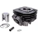 Zylinderkit DMP 50ccm für Peugeot stehend AC 54083_1