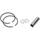 Piston set swiing 41mm Racing for Sachs 50/2, 50/3, 50/4 wit_1