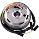 Lichtmaschine / Zündung Umrüstkit Elektronik Kontaktlos 12V _2
