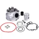 Zylinderkit 50ccm für Minarelli AM IP18305_1