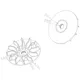 half pulley for Kymco Dink, Grand Dink, Yager 125, 150 IP324_1