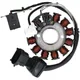 Lichtmaschine Stator für Aprilia, Gilera, Derbi, Piaggio, Ve_1