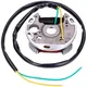 Stator Zündung 12V 35W für Puch Maxi E50, Sachs, Hercules, Z_1