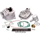 cylinder kit Malossi MHR Replica 50cc for D50B0, D50B1 M.311_1