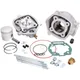 cylinder kit Malossi MHR Replica 79cc 50mm for D50B0, D50B1 _2
