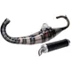 Exhaust Malossi MHR Team 3 70cc for Piaggio M.3219161_1