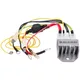 voltage regulator Malossi VesPower incl. cable set for Vespa_1