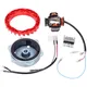 Zündung Set Malossi Power Upgrade auf 12V 90Watt 4-Spulen fü_1