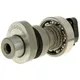 camshaft Malossi Power Cam for Honda SH 300i, NSS 300i M.591_1