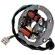 Lichtmaschine / Zündung mit Zündanker 4-Fach Stecker für Yam_2
