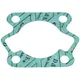 Zylinder Dichtungssatz 70ccm 44mm 3-teilig für Kreidler Flor_2
