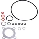 Motor Dichtungssatz für Minarelli RV4 H20, Piaggio, Garelli,_2