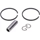 Zylinderkit Guss 50ccm 38mm Bohrung 10mm Kolbenbolzen für Pu_2