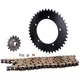 Kettensatz 15/41 Zähne für Hercules Ultra 80 AC MG00092190_1