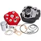 cylinder kit MVT Iron Max 50cc for Aprilia RS, Beta RR, Moto_1