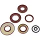 Wellendichtringsatz Motor Naraku FKM Premium für Honda CR 25_1