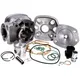 cylinder kit Top Performances Racing 50cc 40mm for Derbi Sen_1