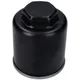 Ölfilter für Maxi-Roller 4-Takt Piaggio-Motor VC25755_1