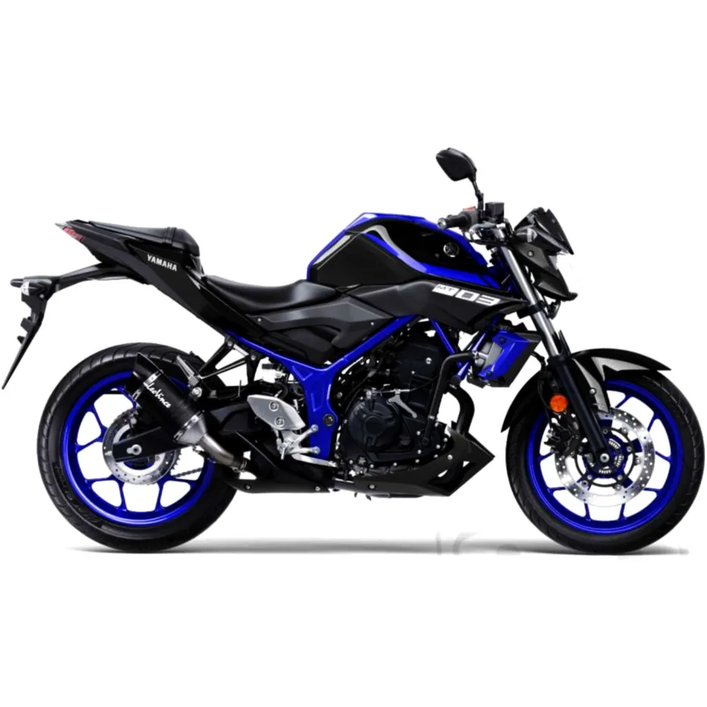 Schalldämpfer für SBK Carbon LV-Pro Slip On_0