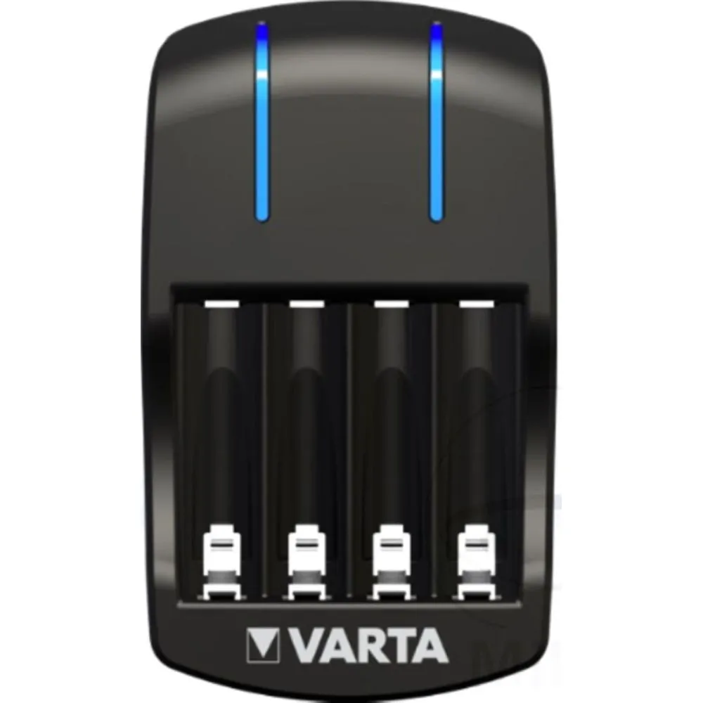 Akku Ladegerät PLUG CHARGER_1