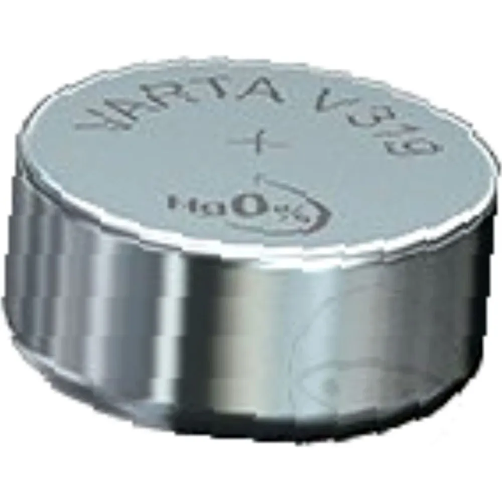 Gerätebatterie V319 VA_1