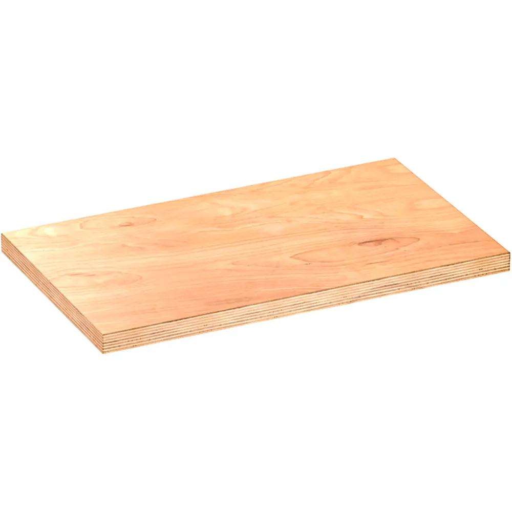 ARBEITSPLATTE hinten links V60000861_1