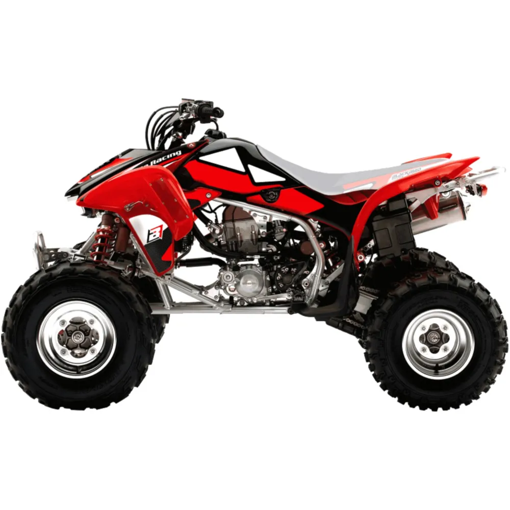 Aufkleber Satz BlackBird Racing 1107982_1