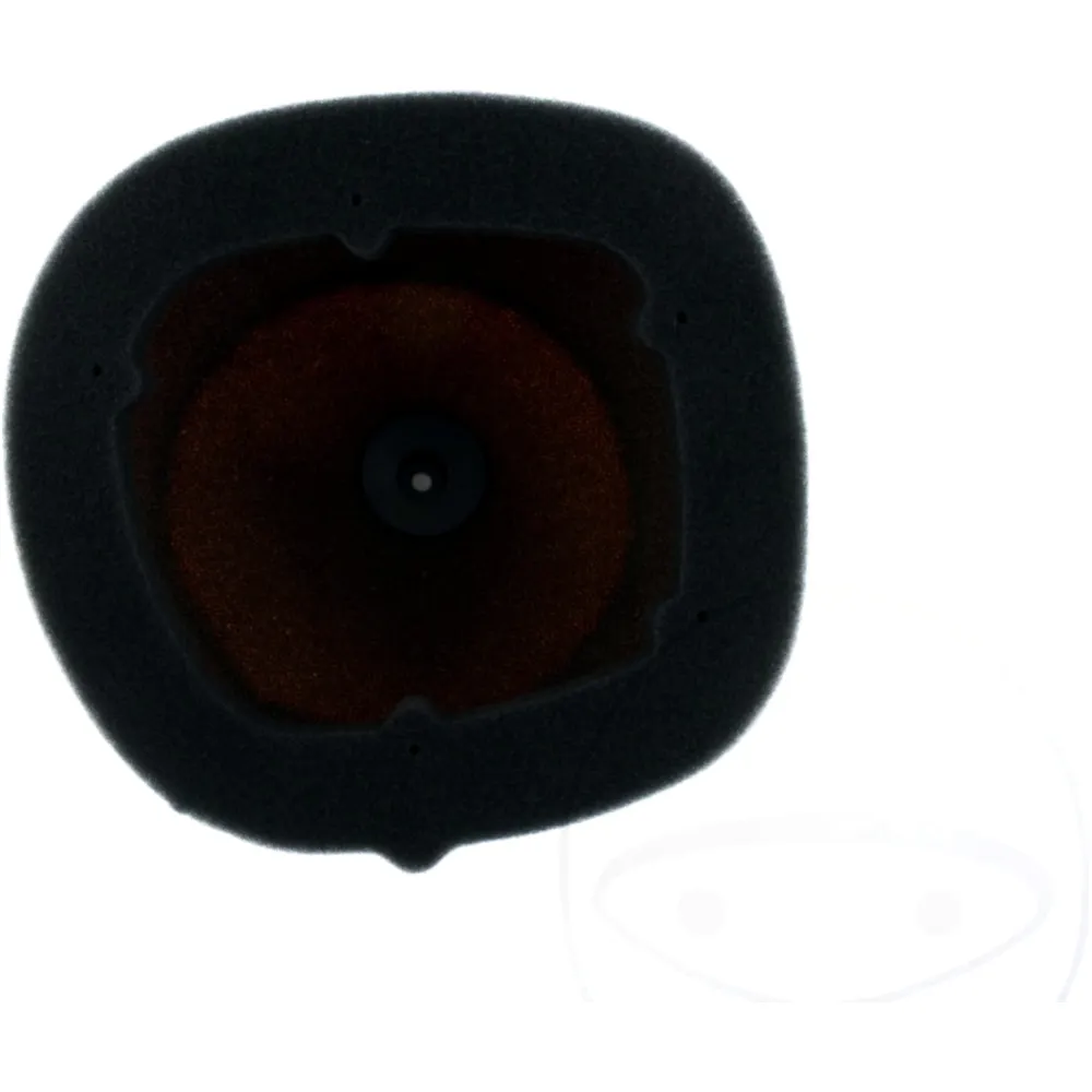 Rennluftfilter Foam Twin Air für Powerflow Kit passend für: Bet