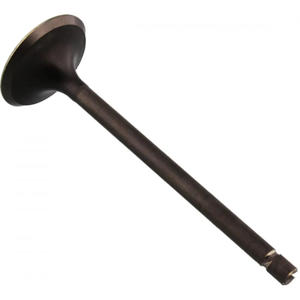 Valve intake 2813812_1