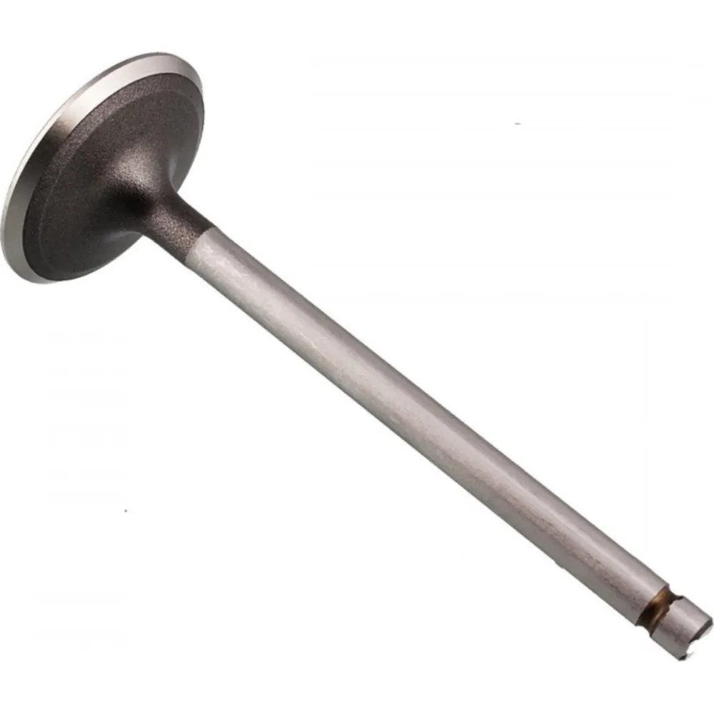 Einlassventil Stahl Prox 2823962_1
