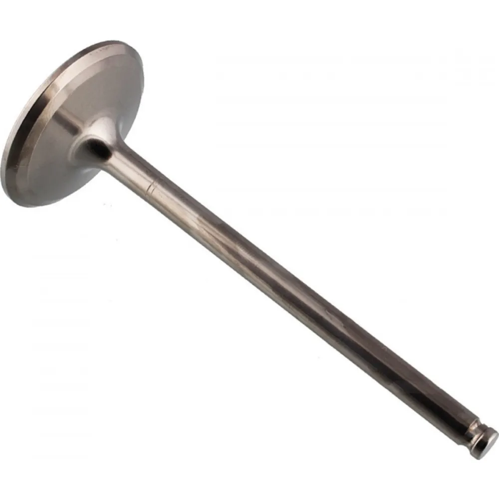 Valve intake 2824142_1