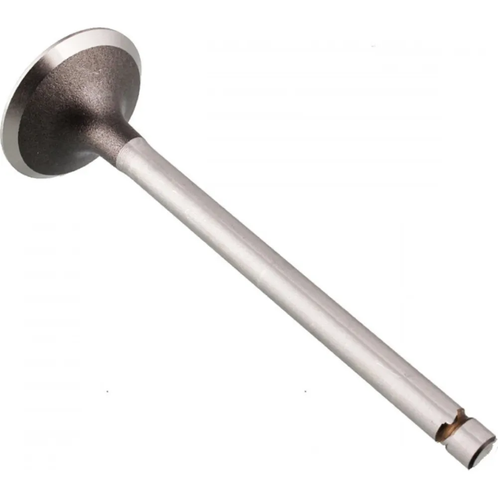 Auslassventil Stahl Prox 2823961_1