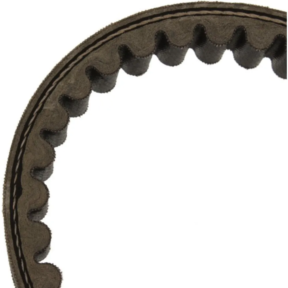 Keilriemen 785X20X10 Originalersatzteil_1