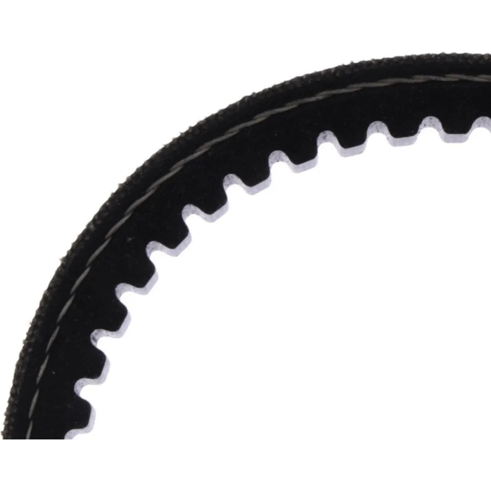 Toothed belt (orig spare part) 288493_1