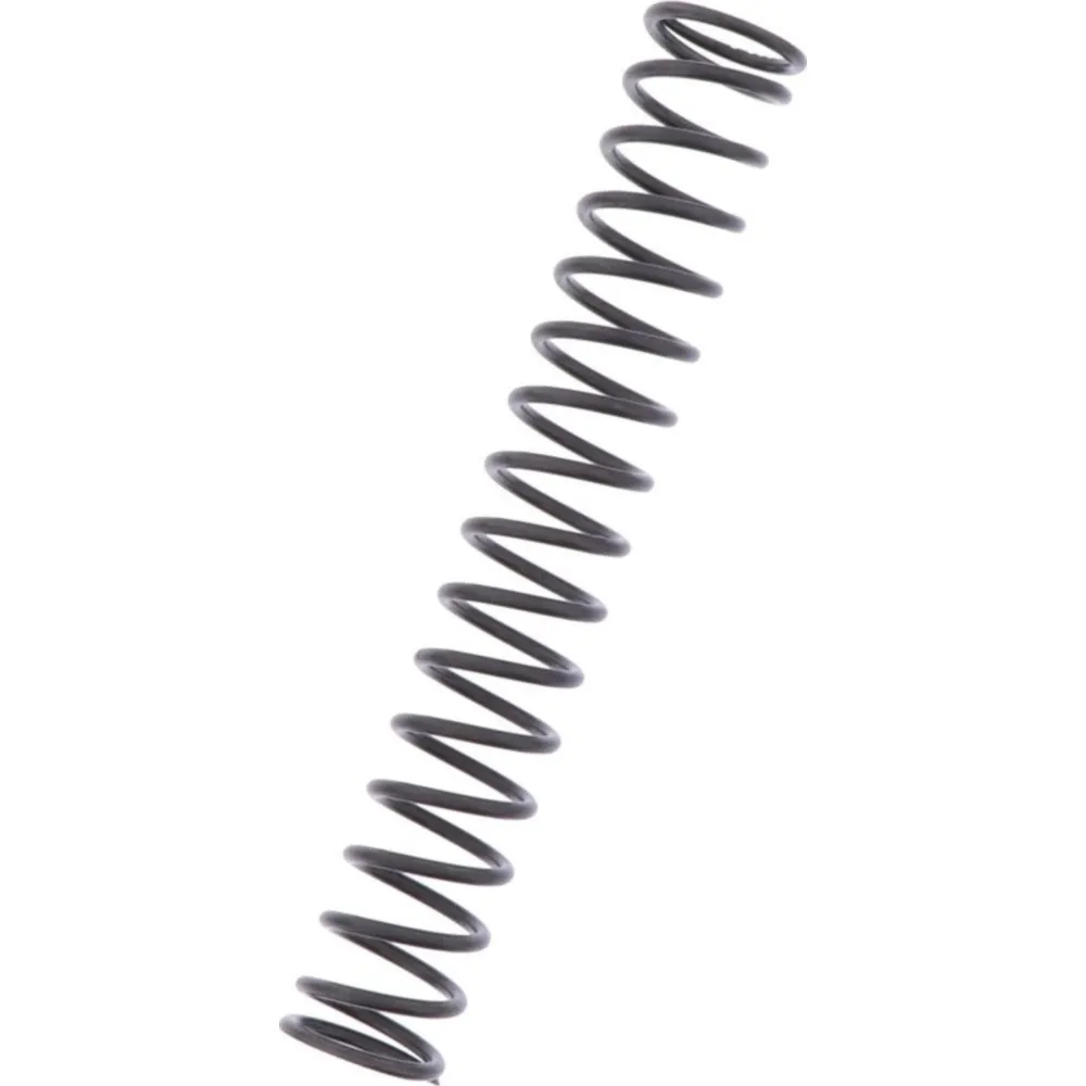 AUSGLEICHSFEDER Gabel_1