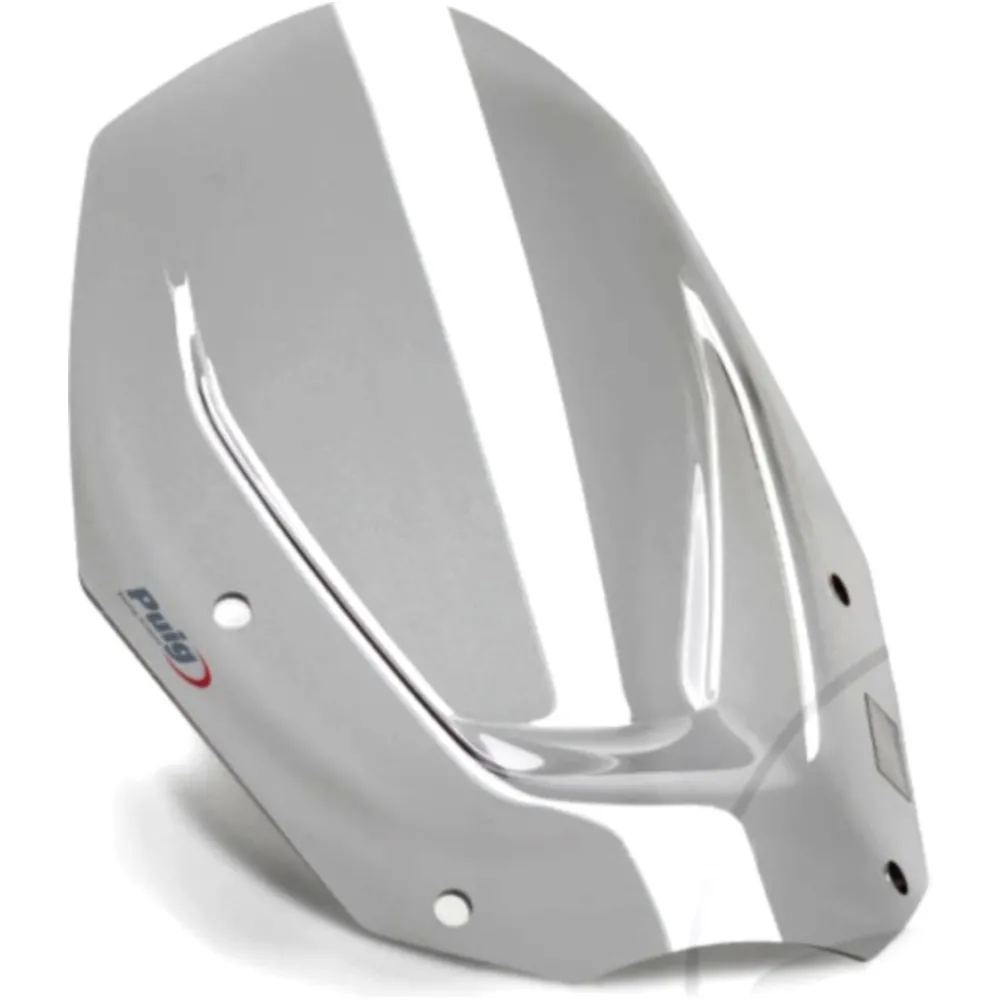 Sports screen PUIG smoke grey for: BMW R_0