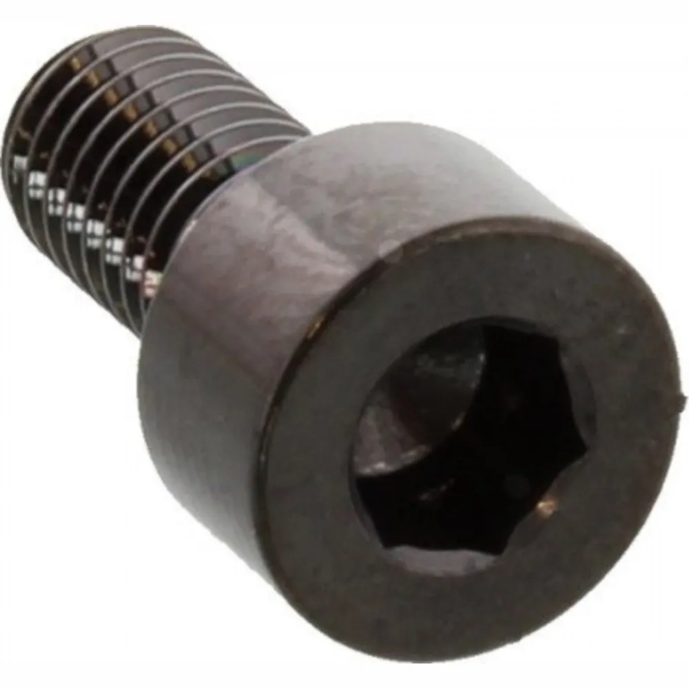 Zylinderschraube LSSPB510BK_1