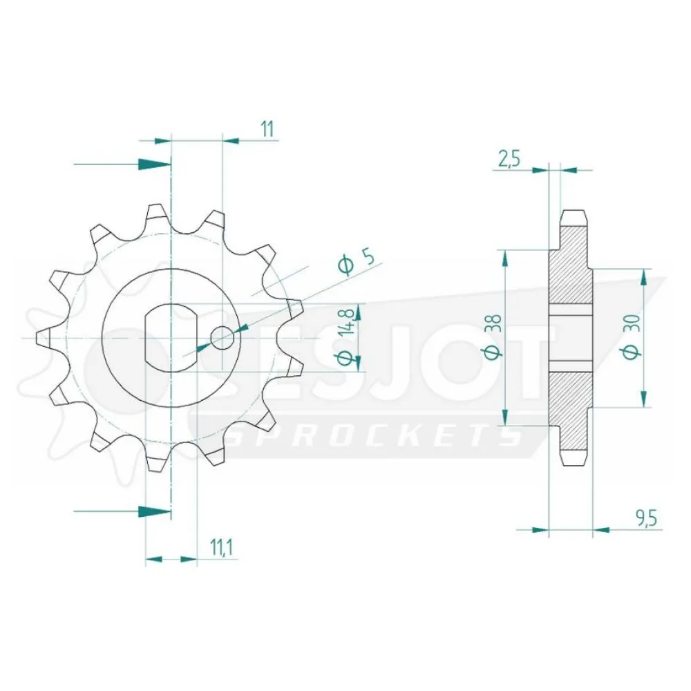 Pinion 13T 420 R20-0437-13