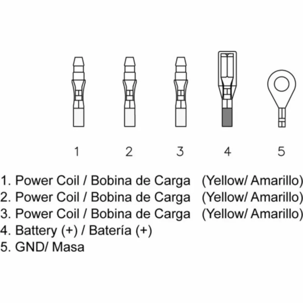 1080543_1