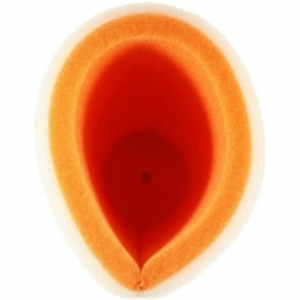 1096878_2