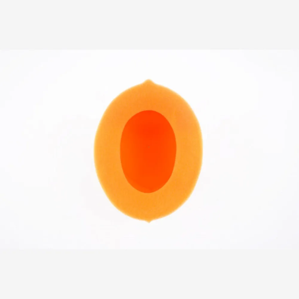 1098645_1